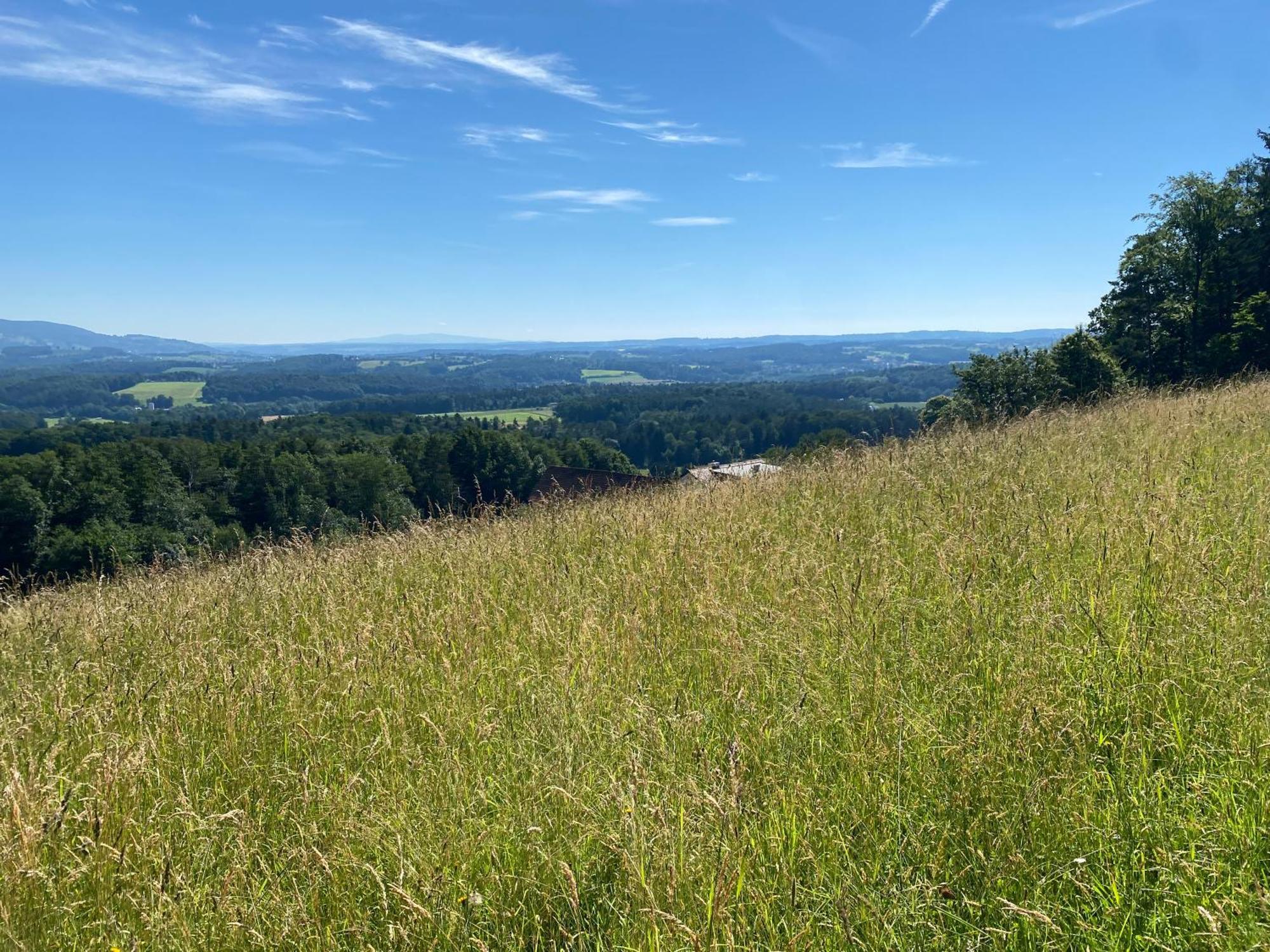 Wohnen Zwischen Golf Und Therme Bad Waltersdorf Luaran gambar